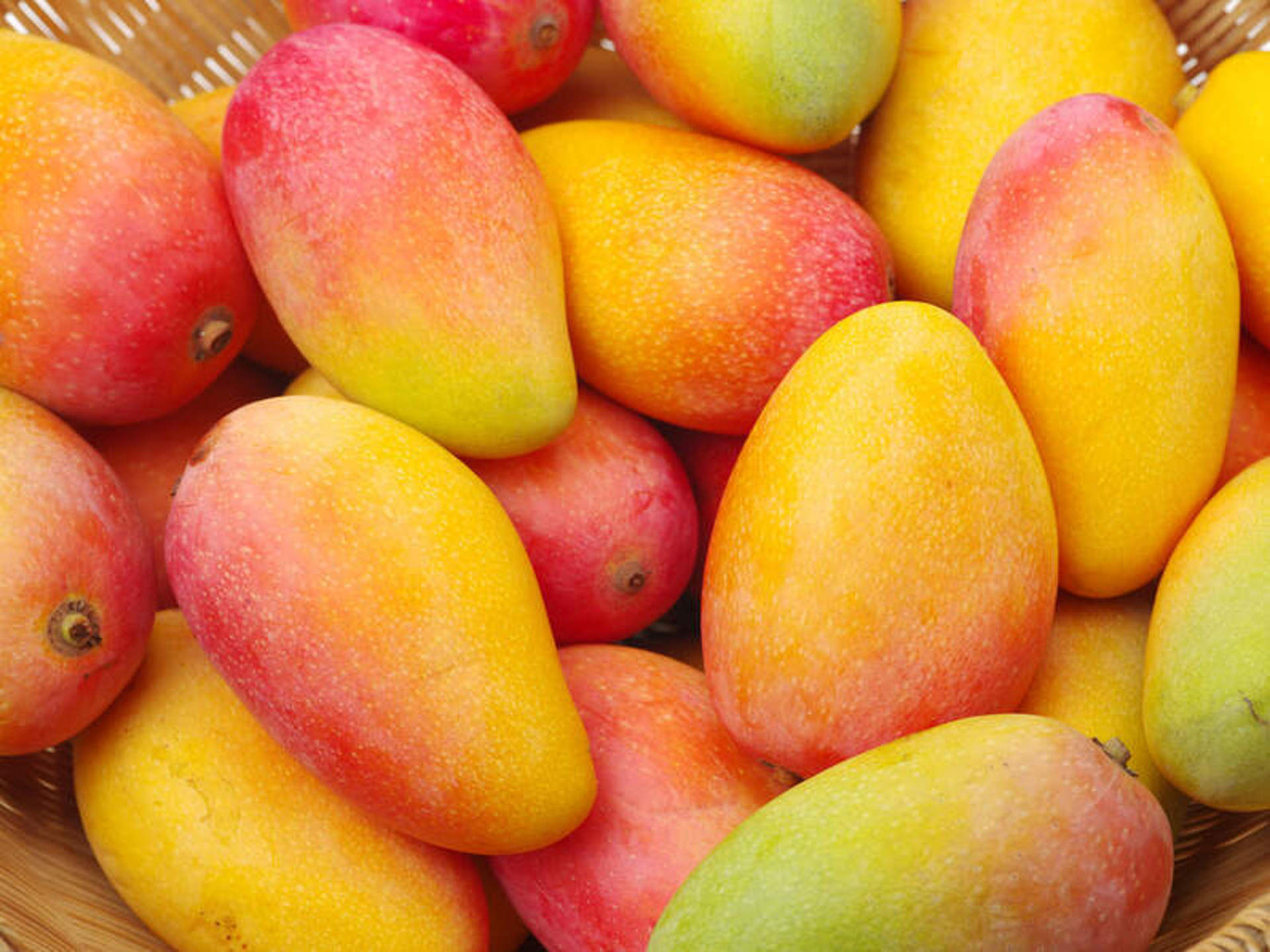 Mango Nedir, Mangonun Anavatanı Neresidir?
